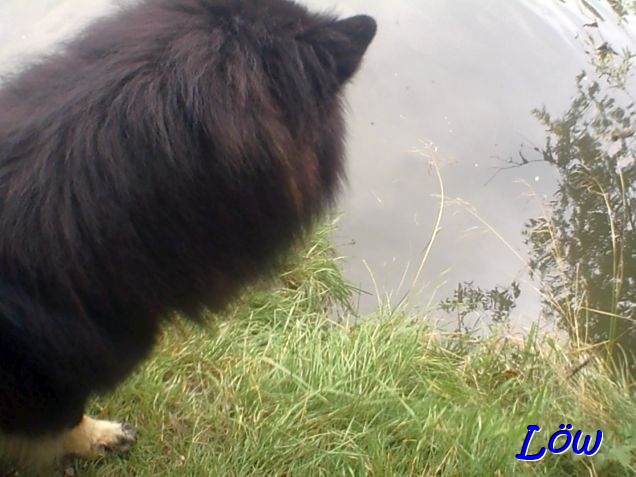 21.8.2025 - Howard auf den Sprung